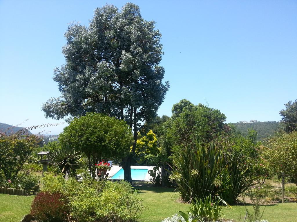 Piesang Valley Lodge Plettenberg Bay Cameră foto