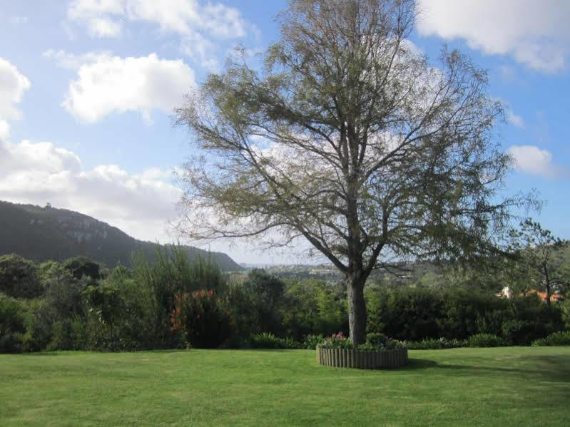 Piesang Valley Lodge Plettenberg Bay Exterior foto